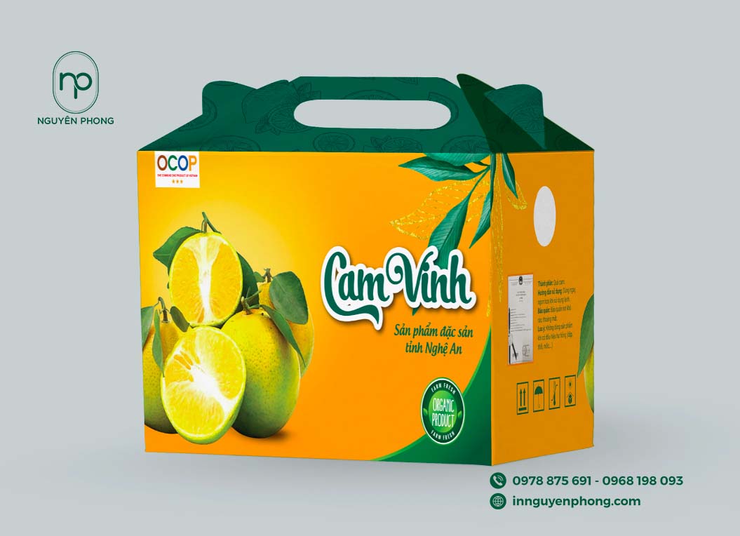 thùng carton dựng trái cây